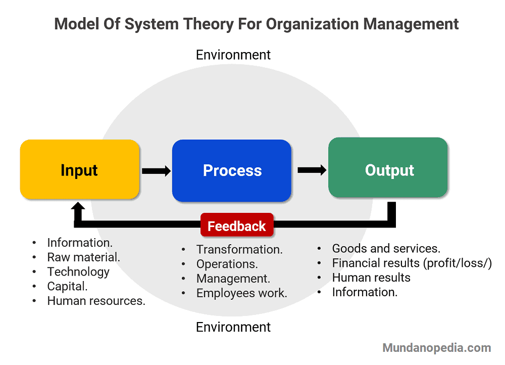 Model Of System Theory For Organization Management Diagram showing inputs, process, and outputs and examples